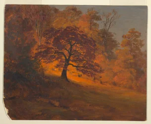 Desenho, Folhagem de outono, 1867