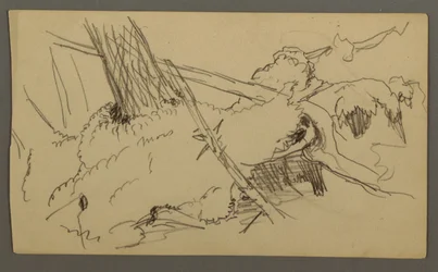 Desenho, Base de árvore, rochedo, possivelmente 1877