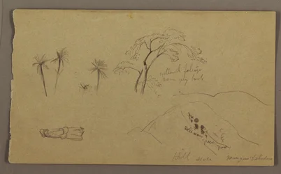Desenho, esboços botânicos, figura, maio-agosto de 1865