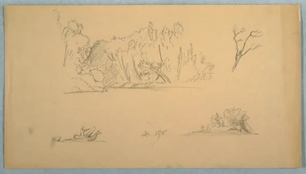 Desenho, Esboços botânicos: árvore, árvores na costa, setembro de 1876
