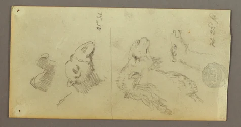 Desenho, Estudos de Camelo, 21-22 de fevereiro de 1868