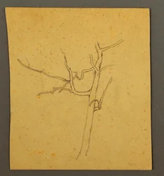Desenho, Árvores mortas, possivelmente em julho de 1866