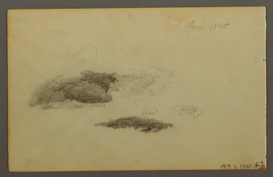 Desenho, Bétula deteriorada, 1844
