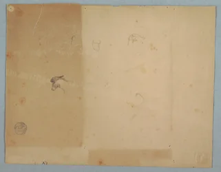 Desenho, Pormenores de cabeças de burro, América do Sul, 1853