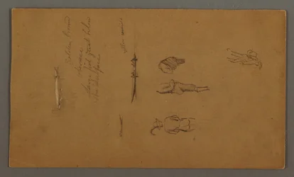 Desenho, Estudos de figuras, Figura num barco, Peixe, possivelmente 1868