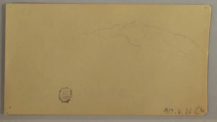 Desenho, Plantas com flores, ca. 1856