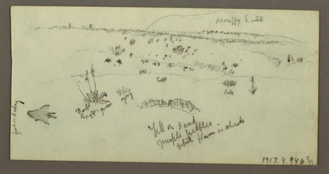 Desenho, Colina, Arbusto, Figura, Estudos de Camelo, possivelmente 1868