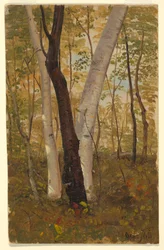 Desenho, No bosque, Hudson, Nova Iorque, outubro de 1865