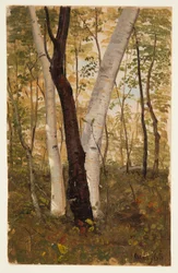 Desenho, No bosque, Hudson, Nova Iorque, outubro de 1865