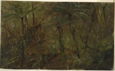 Desenho, Nos bosques da Jamácia, Índias Ocidentais, 1865