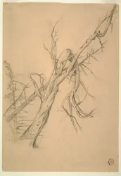 Desenho, acampamento índio, Grand Manan, Baía de Fundy, setembro de 1851