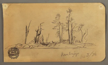 Desenho, Ilha, 1878