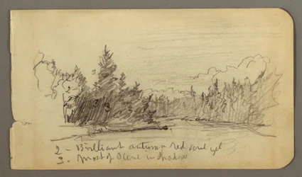 Desenho, Lago rodeado de árvores, possivelmente 1878