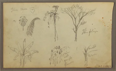 Desenho, Paisagem, Guayaquil, Equador, 21 de maio de 1857