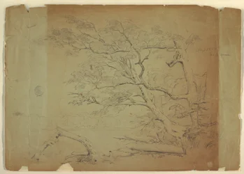 Desenho, Paisagem com árvores e um riacho [], Ilha de Grand Manan, Canadá, setembro de 1851