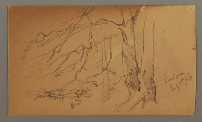 Desenho, metade inferior da árvore, 9 de julho de 1868