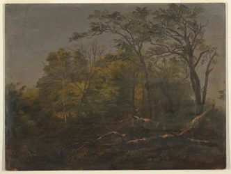Desenho, Bosque do Maine, 1845-55