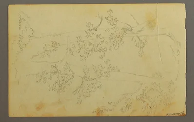 Desenho, Moinho rodeado de árvores, 1845