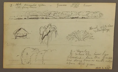Desenho, Cordilheiras "entrando em Guayaquil"; Verso: Margem do rio, esboços botânicos, possivelmente 1857