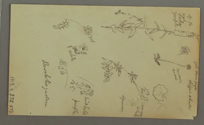 Desenho, Estudo da montanha, possivelmente 1868