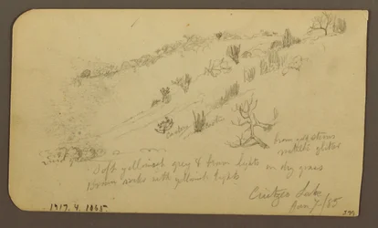 Desenho, Montanha, Zapotlan; Verso: Encosta arborizada, Lago Cuitzeo, janeiro de 1885