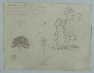 Desenho, Estudos da natureza do Rio Magdalena, Colômbia:  Árvores, videiras e uma canoa, maio de 1853