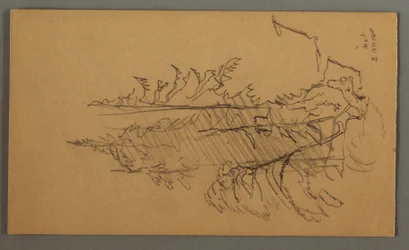 Desenho, Pinheiros, possivelmente 1868