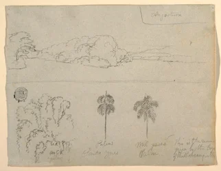 Desenho, Esboços da Colômbia:  Margem de um rio ou baía, e árvores, 1853