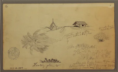 Desenho, Sky over the Sea; Verso: Esboços botânicos, Rooftops, maio de 1857