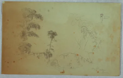 Desenho, Estudos de árvores com pormenores de bambu e um pequeno pormenor de um homem a carregar bananas na cabeça, Bellevue, Jamaica, agosto de 1865