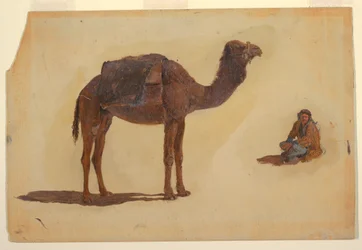 Desenho, Estudo de um dromedário, 1868