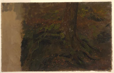 Desenho, Estudo de um tronco de árvore, 1850-60