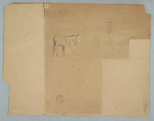 Desenho, burro amarrado e um tipo de vedação, América do Sul, 1853