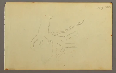 Desenho, Raízes de árvores, 1844