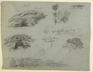Desenho, Árvores, copas das árvores e uma margem arborizada, Saddleback, Maine, 1853