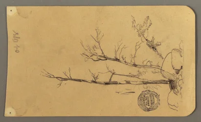 Desenho, Árvores, rochedos, 1878