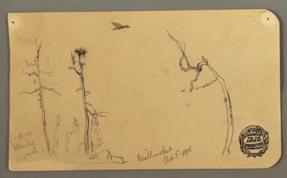 Desenho, Árvores, pássaro voador, 1877