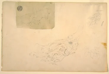 Desenho, Duas mãos a tremer, raízes de árvores retorcidas, setembro de 1844