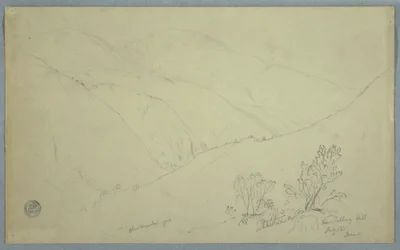 Desenho, Vista do Pico da Montanha Azul, visto de perto de Salloway Hill, Jamaica, julho de 1865