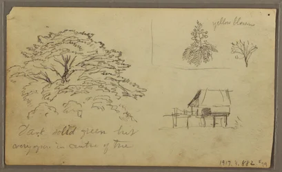Desenho, Vista de Guayaquil, Equador, 23 de maio de 1857