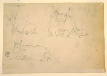 Desenho, Vistas de gado agachado, setembro de 1844