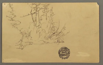 Desenho, Banco arborizado, possivelmente 1877