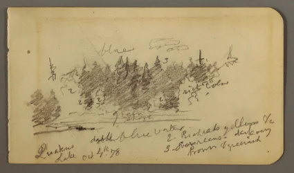 Desenho, Costa arborizada, 1878