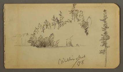 Desenho, Costa arborizada, estudo de árvores, 1878