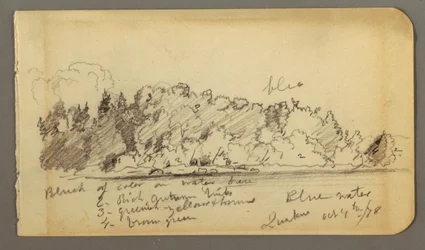 Desenho, Costa arborizada, água, 1878