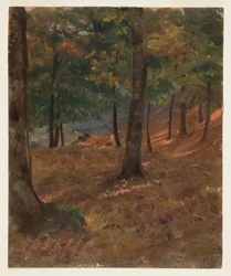 Desenho, Cena de um bosque, 1870-80