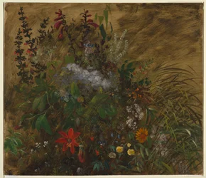 Flores na Jamaica