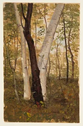 Na floresta, Hudson, Nova York