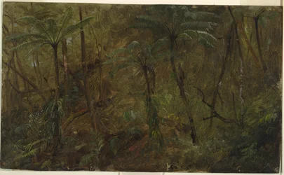 Na floresta, Jamaica