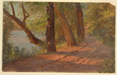Paisagem da América do Norte (estrada por um lago)